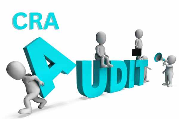 Cra-Audit-and-Review-Support